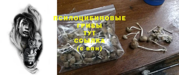 гидропоника Дмитров