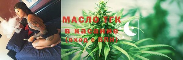 дживик Дмитриев