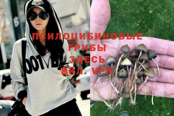 мяу мяу мука Дмитровск