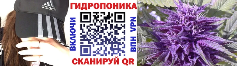 Шишки марихуана марихуана  купить наркотик  гидра   Коломна 